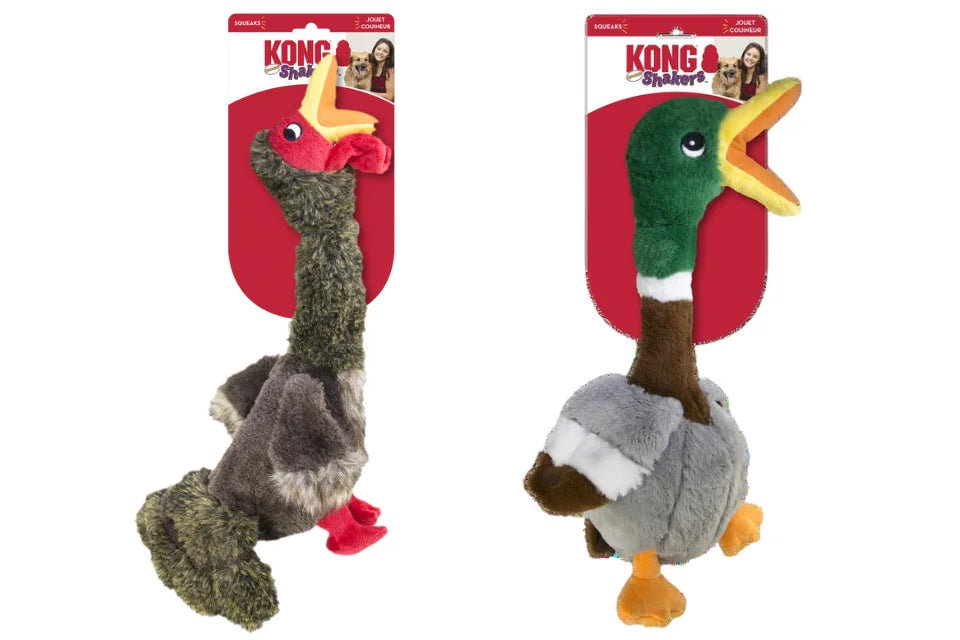 KONG Shakers Honkers Dog Toy