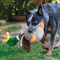 Dog with KONG Shakers Honkers Duck