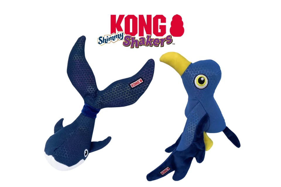 KONG Shimmy Shakers