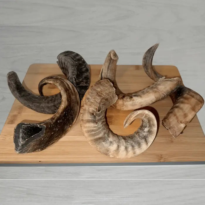 Lamb Horns for Dogs
