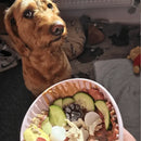 Customer with Lick Bowl