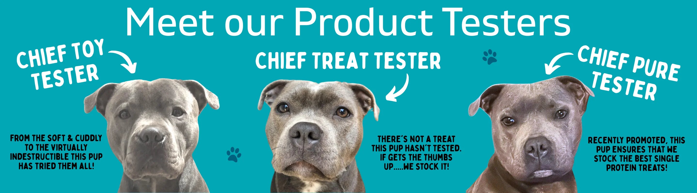 Meet Our Product Testers