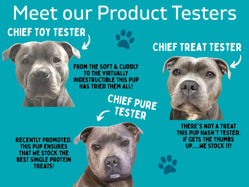 Meet Our Product Testers