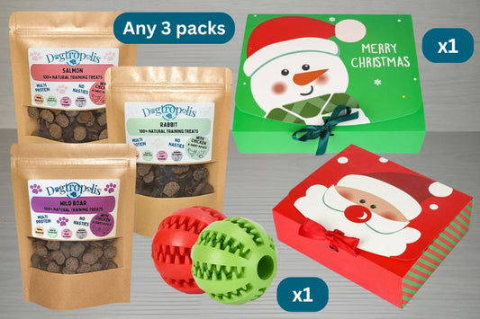 Festive Training Treat Box with Ball