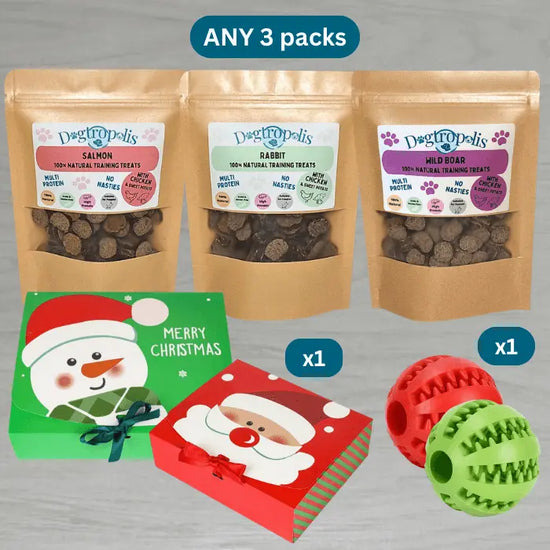 Any 3 100% Natural Training Treats & Ball in Festive Box