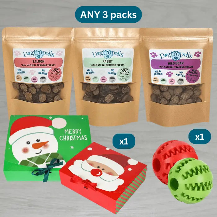 Festive Training Treat Box with Ball