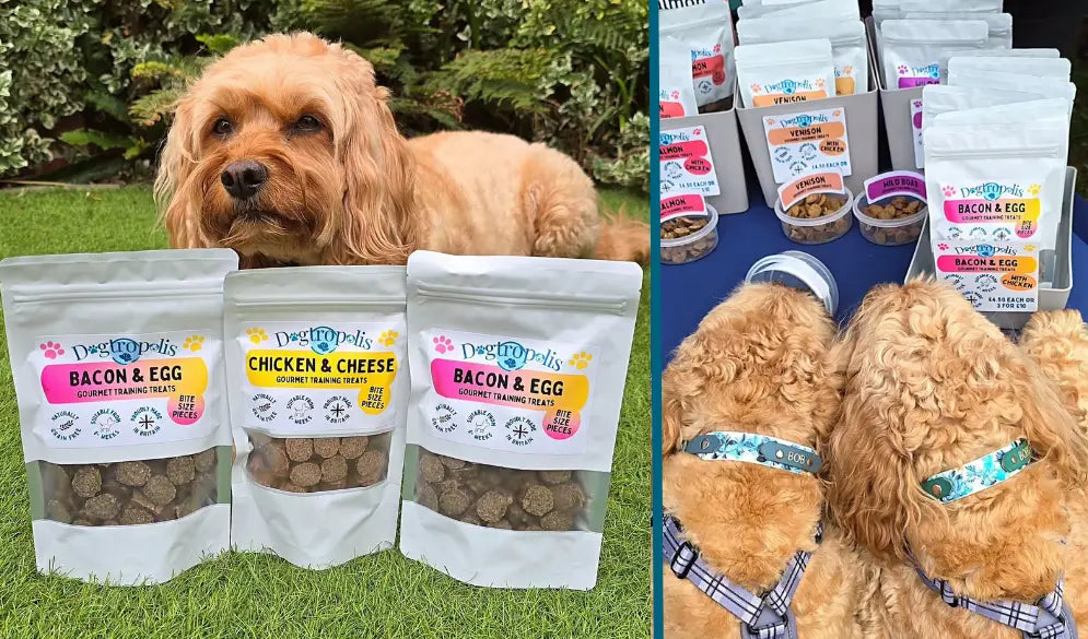 Dogtropolis Bacan & Egg Training Treats