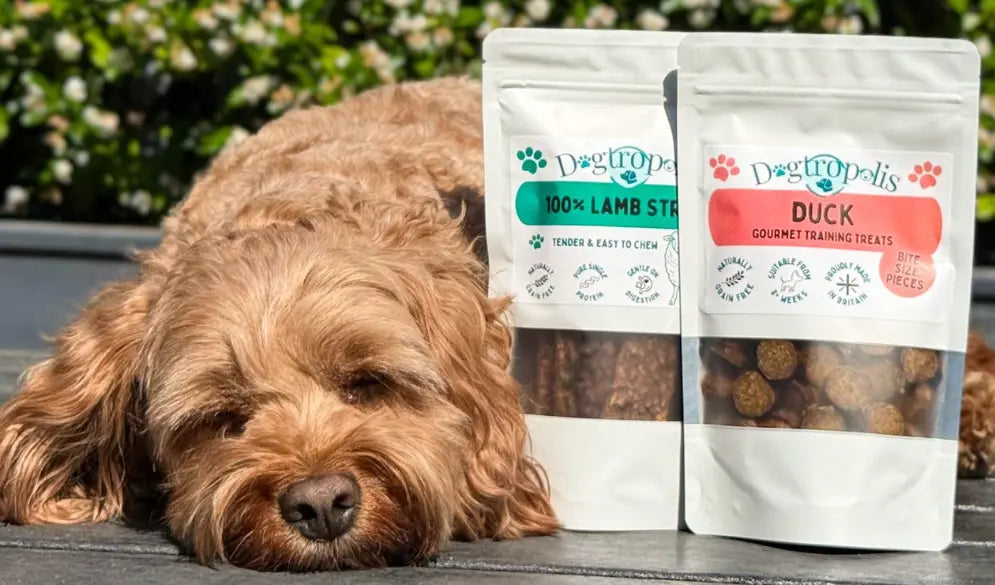 Dogtropolis New Packaging