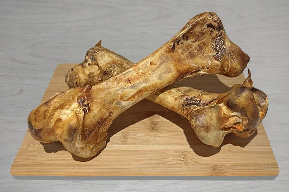 Ostrich Dino Bone for Dogs