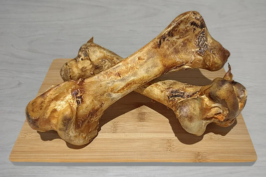 Ostrich Dino Bone for Dogs