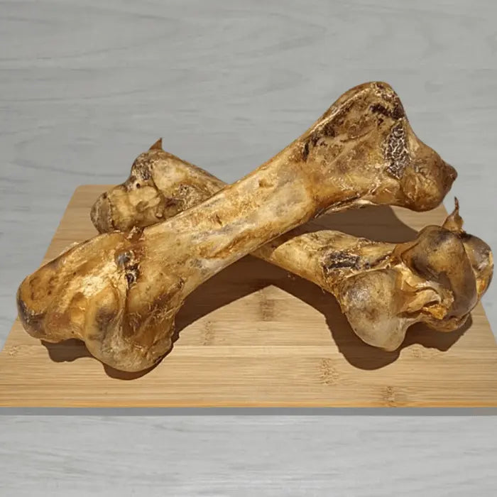 Ostrich Dino Bone for Dogs