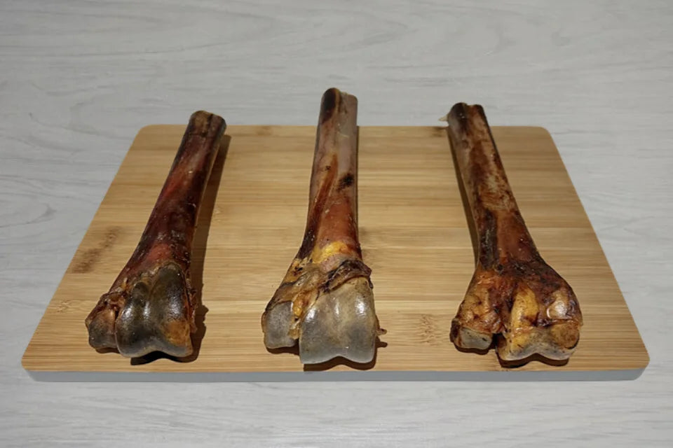 Ostrich Metatarsus Bone for Dogs