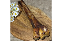 Ostrich Metatarsus