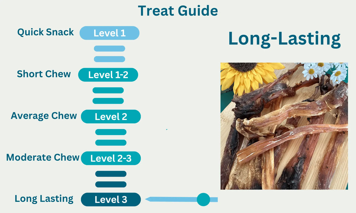 Ostrich Tendons Level