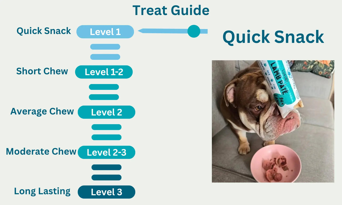 Dogtropolis Pate Level
