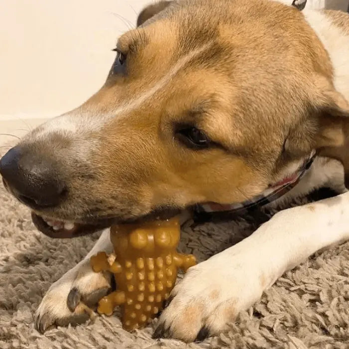 Peanut Butter Crocodile Chew