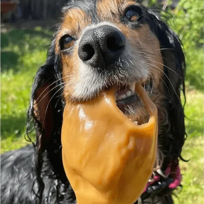 Peanut Butter Ears for Dogs