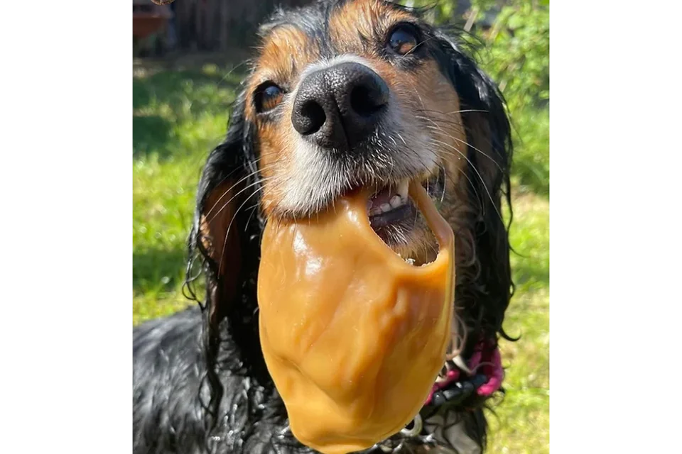 Peanut Butter Ears for Dogs