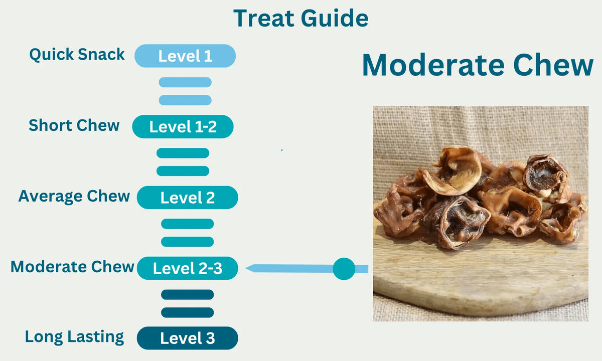 Porky Bites Level