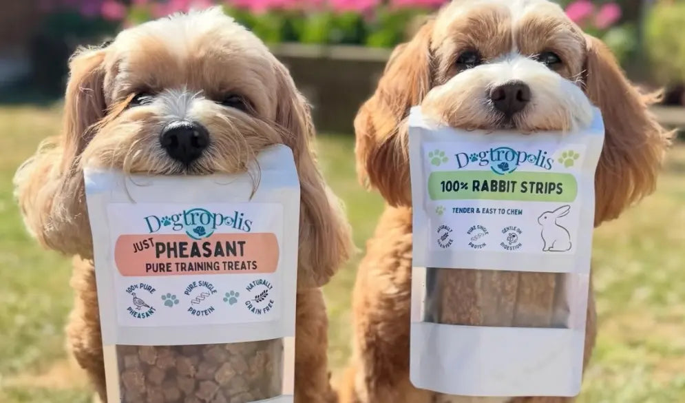 Dogtropolis Premium Dog Treats