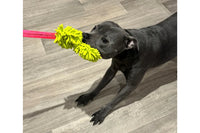Product Tester with Bungee Dog Toy