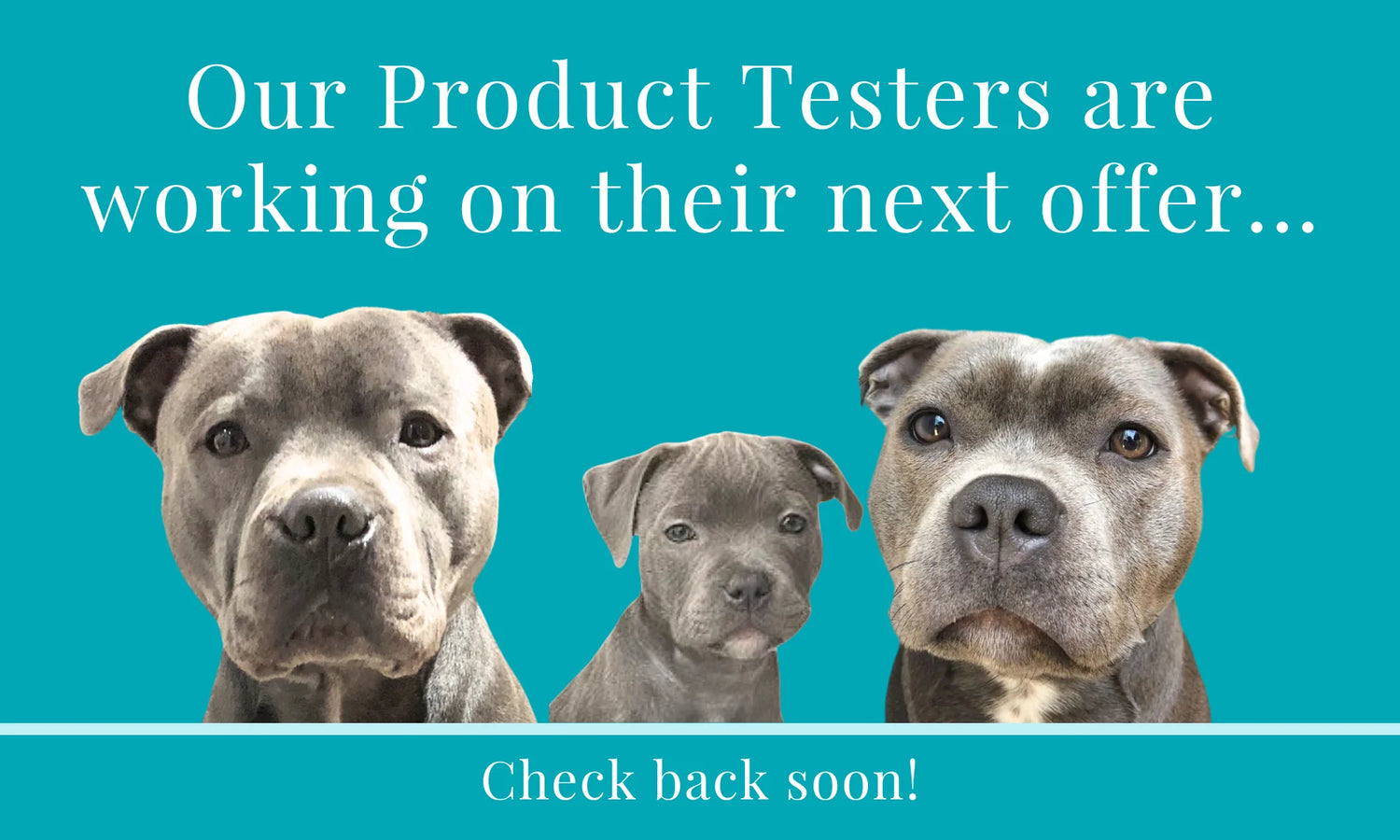 Product Testers at Work