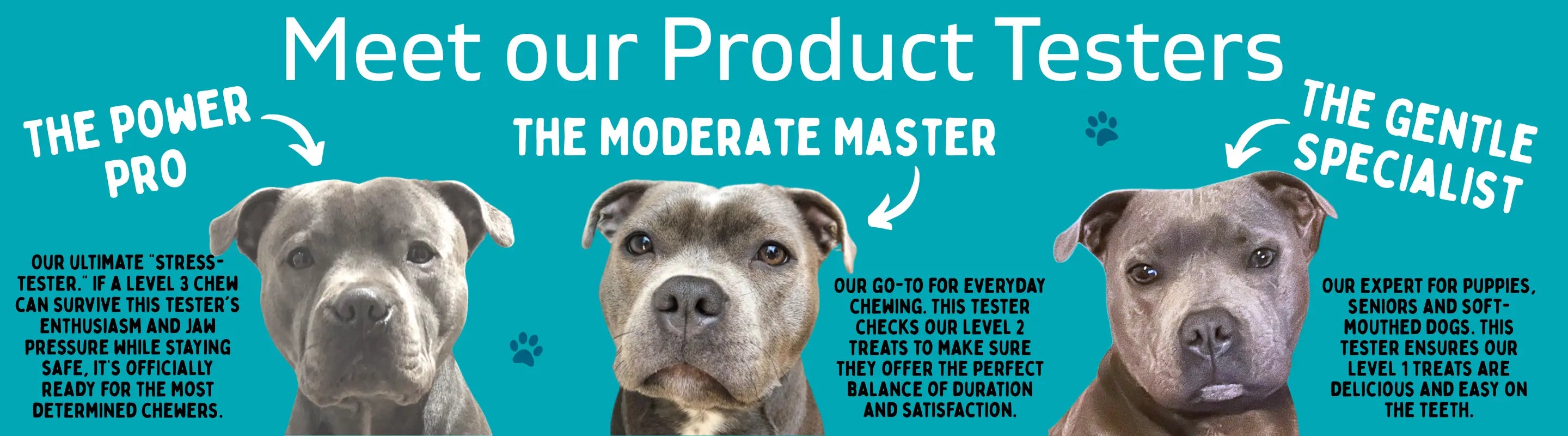 Meet Our Product Testers