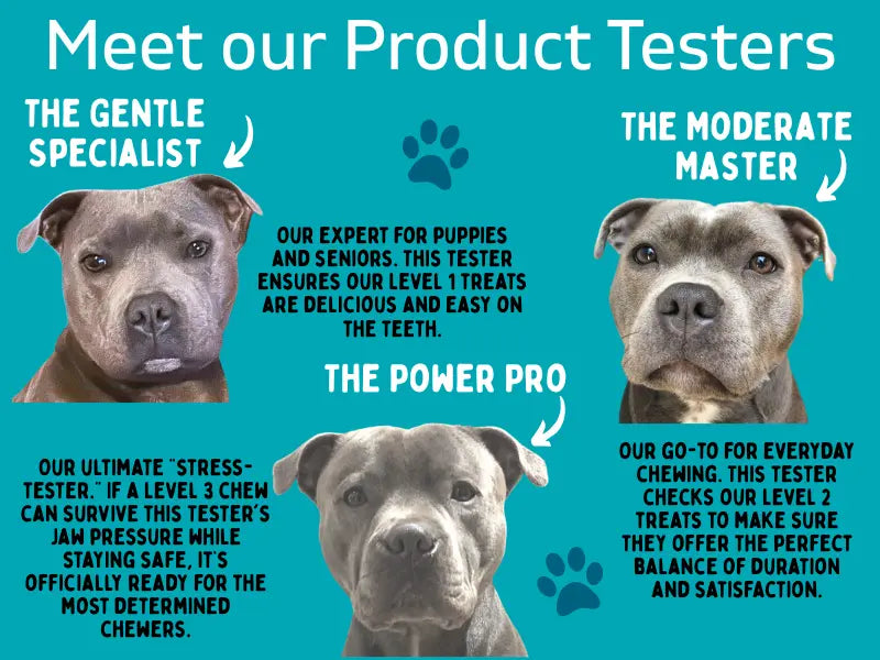 Meet Our Product Testers