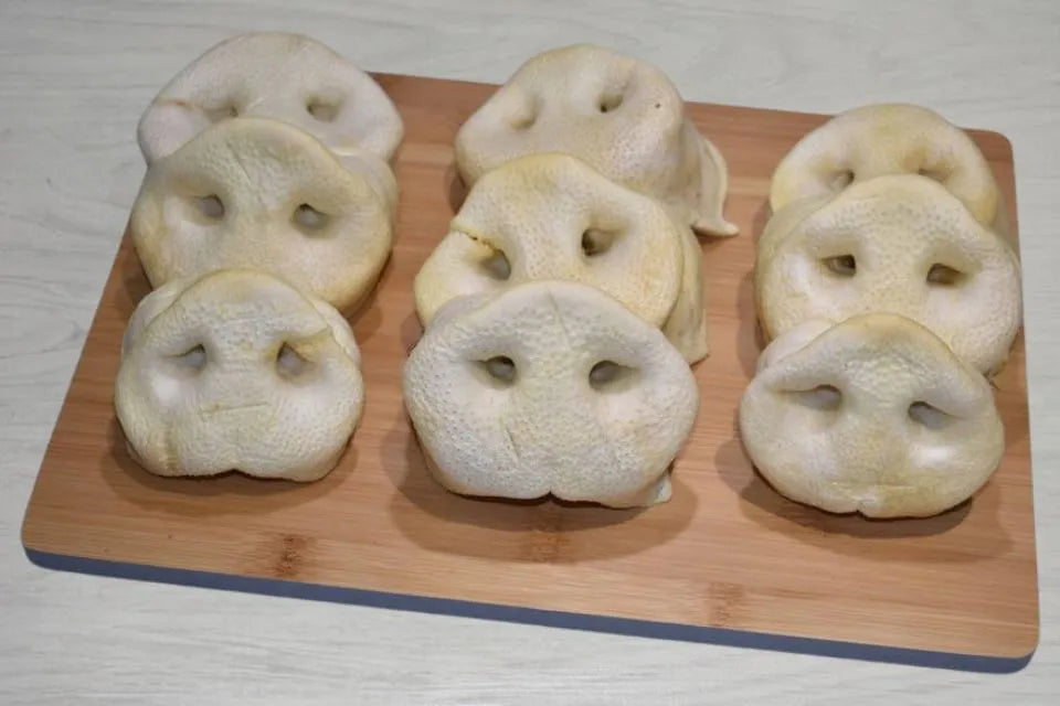 Puffed Pig Snouts for Dogs from Dogtropolis