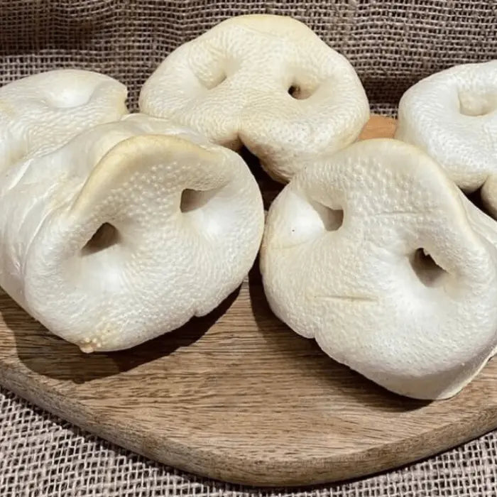 Puffed Pig Snouts