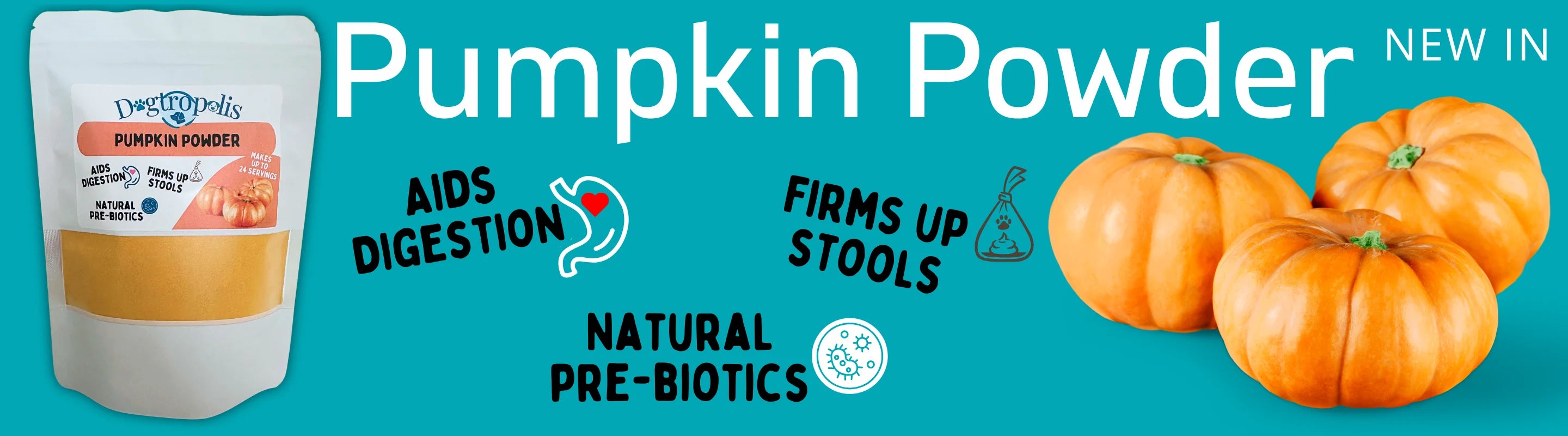 Pumpkin Powder for Dogs
