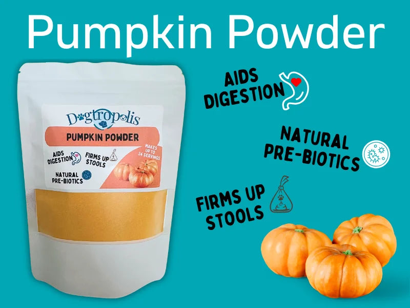 Pumpkin Powder for Dogs
