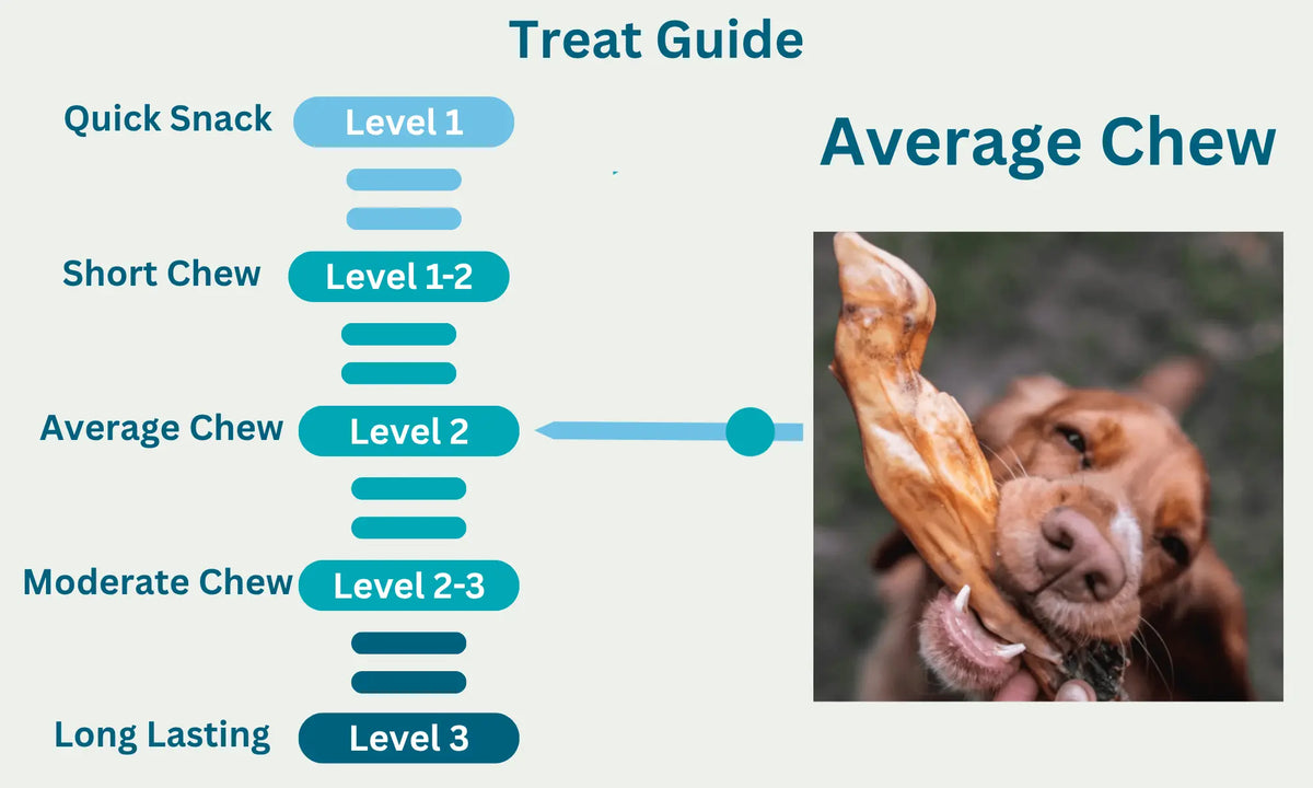 Lamb Feet Level