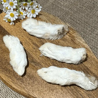 Rabbit Feet with Hair