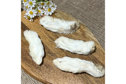 Rabbit Feet