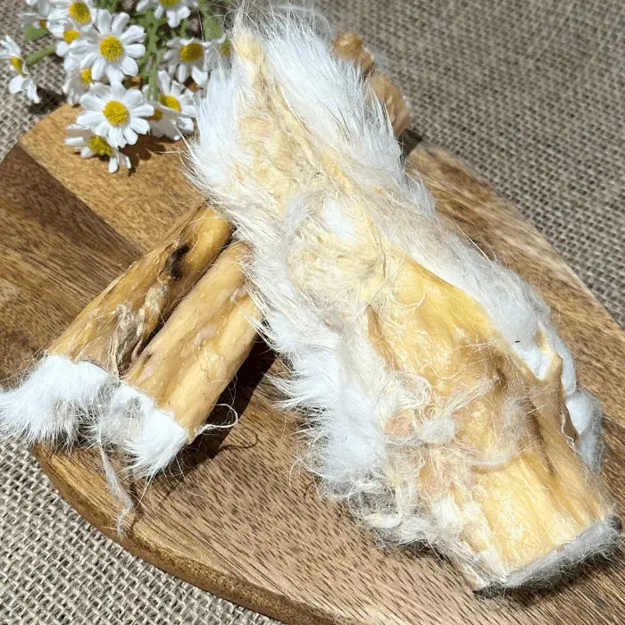 Rabbit Skins with Hair