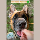 Dogtropolis Rabbit Training Treats