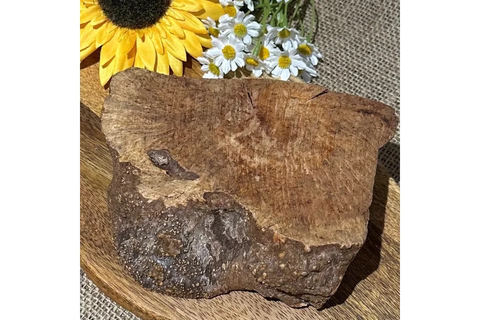 Root Chew