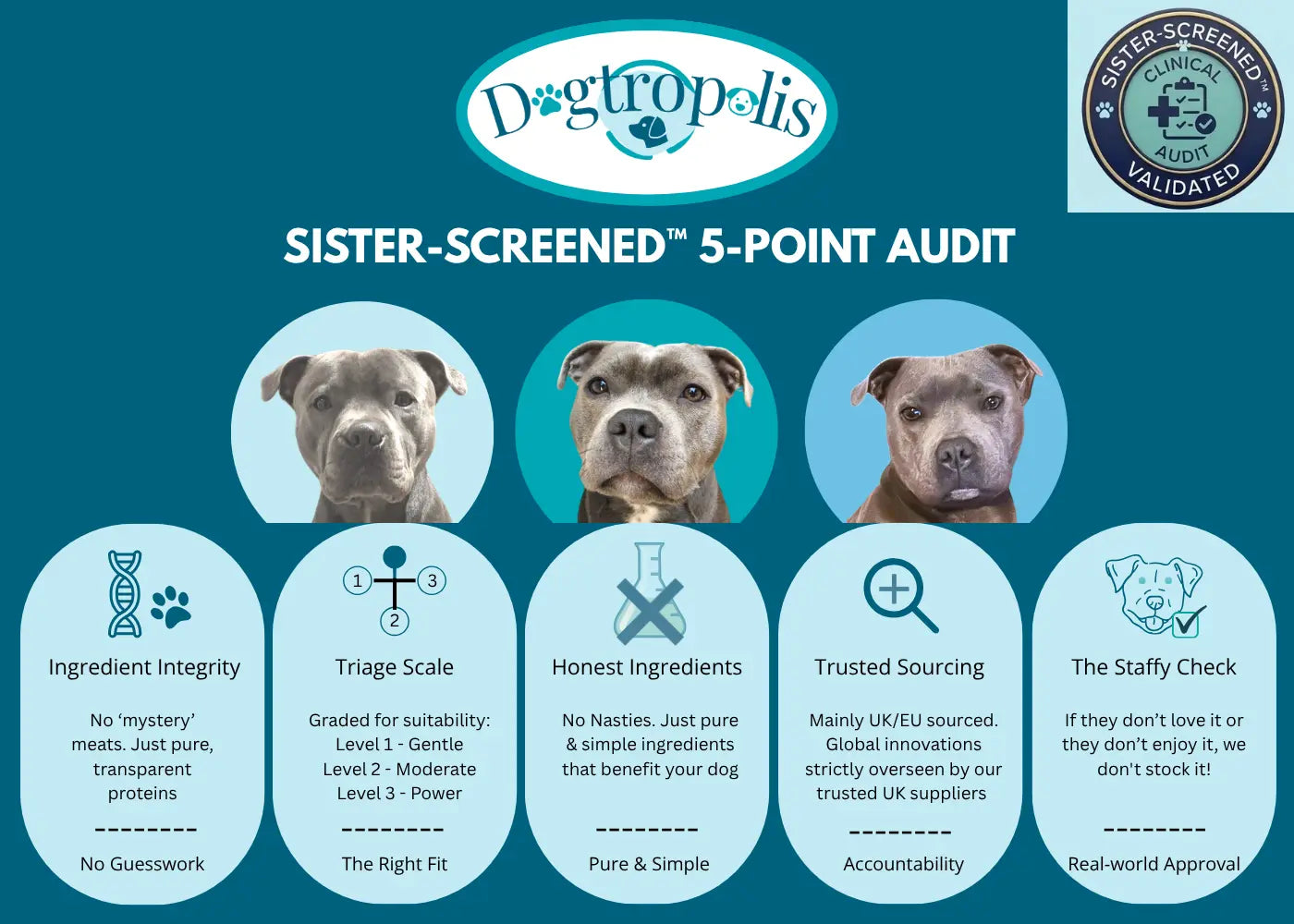 Dogtropolis Sister Screened Audit
