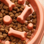 Slow Feeder Bowl