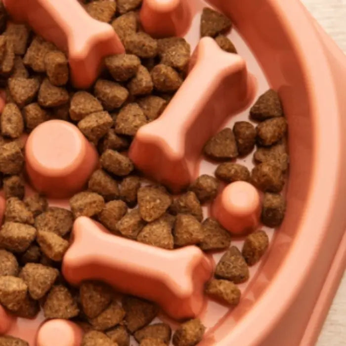 Slow Feeder Bowl