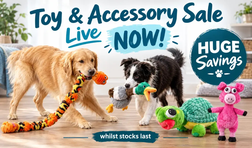 Toy & Accessory Sale