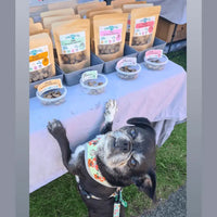 Dog at Dogtropolis Training Treat Table