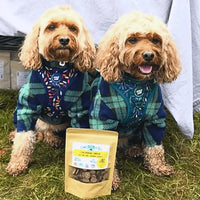 Training Treats Chicken & Cheese