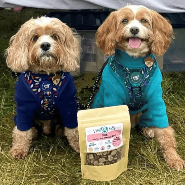 Training Treats Duck