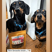 Training Treats Salmon