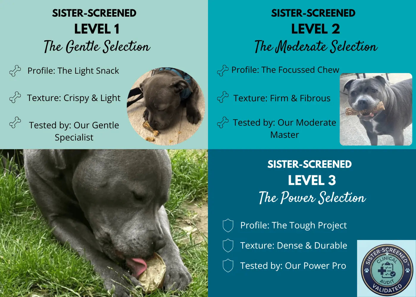 Treat Level Grading
