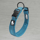 Truelove AirMesh Dog Collar - Blue