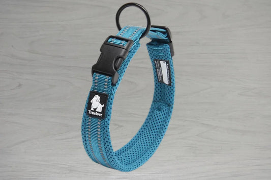 Truelove AirMesh Collar - Blue