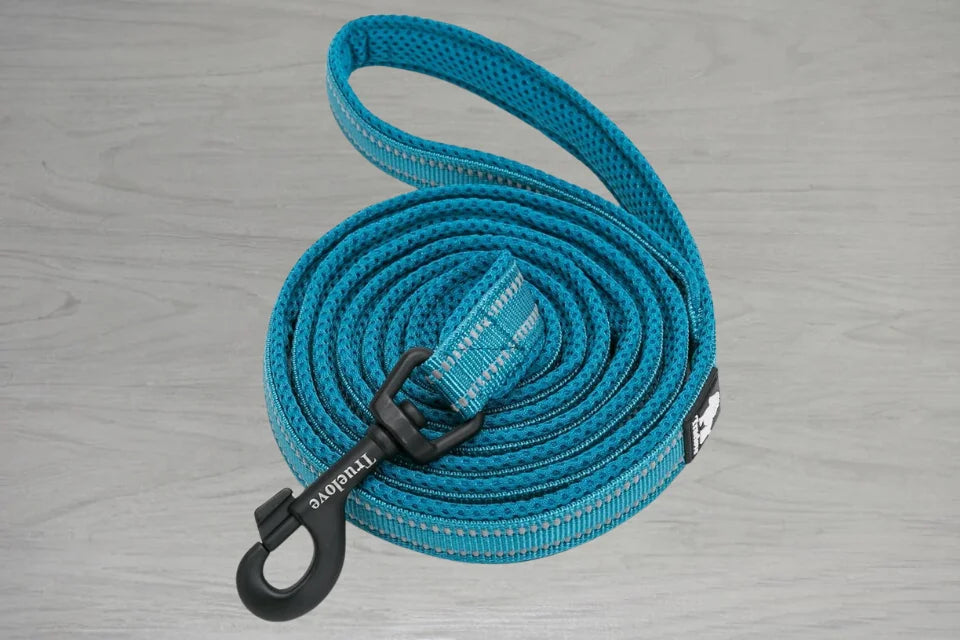 Truelove AirMesh Dog Lead - Blue